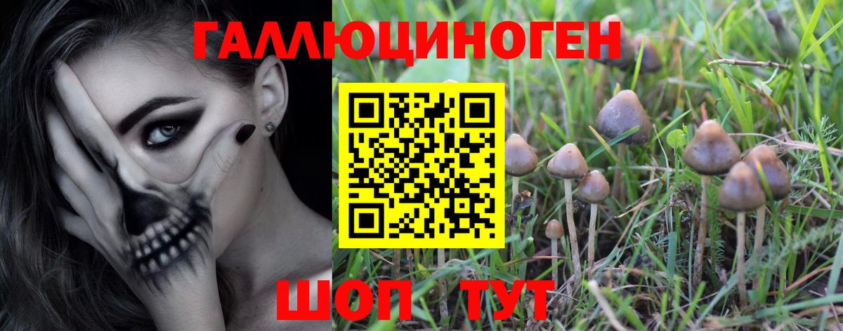 Галлюциногенные грибы прущие грибы  Галлюциногенные грибы GOLDEN TEACHER  Мыски  Вход с VPN 