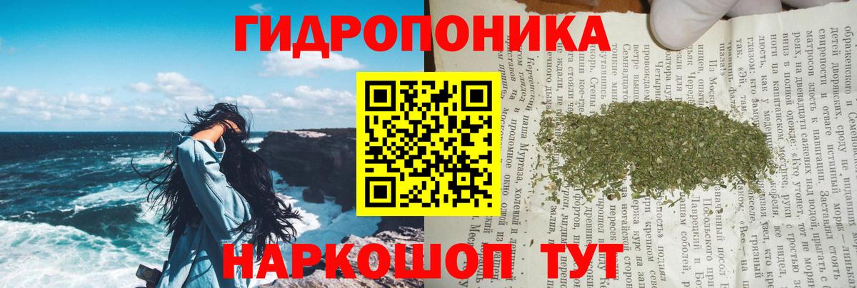 Бошки марихуана план Мыски